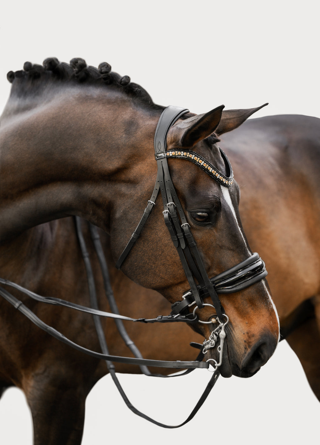 Image of a dark brown horse wearing the Lumiere Ariana double bridle 