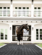 Image of a dark brown horse wearing the Lumiere Ariana double bridle with a white farm background