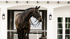 Image of a dark brown horse wearing the Lumiere Ariana double bridle with a white farm background