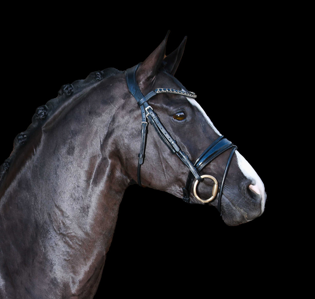 A side view of a white horse wearing the Lumiere Audrey bridle crafted from rolled premium leather with deep-drop black solitaire crystal browband featuring a gel-padded anatomic headpiece and gel-padded patent Hanoverian noseband against a solid black background.
