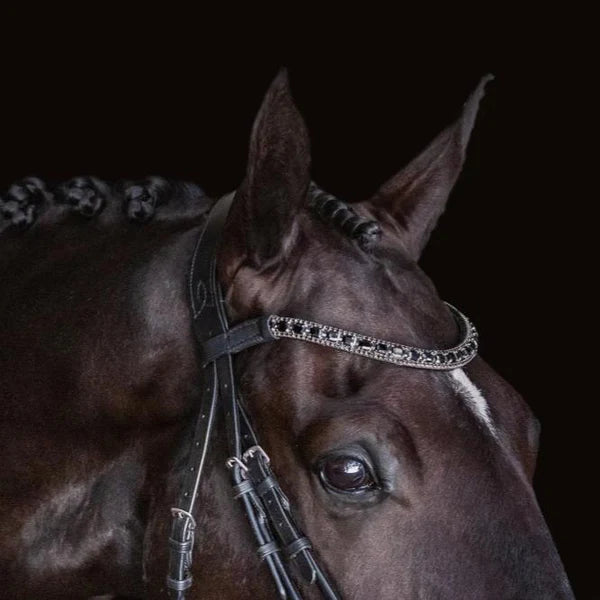 A close-up top view of a white horse wearing the Lumiere Audrey bridle crafted from rolled premium leather with deep-drop black solitaire crystal browband featuring a gel-padded anatomic headpiece against a solid black background.