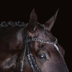 A close-up top view of a white horse wearing the Lumiere Audrey bridle crafted from rolled premium leather with deep-drop black solitaire crystal browband featuring a gel-padded anatomic headpiece against a solid black background.