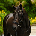 Lumiere Dallas leather jumping bridle in black on a bai horse forest background