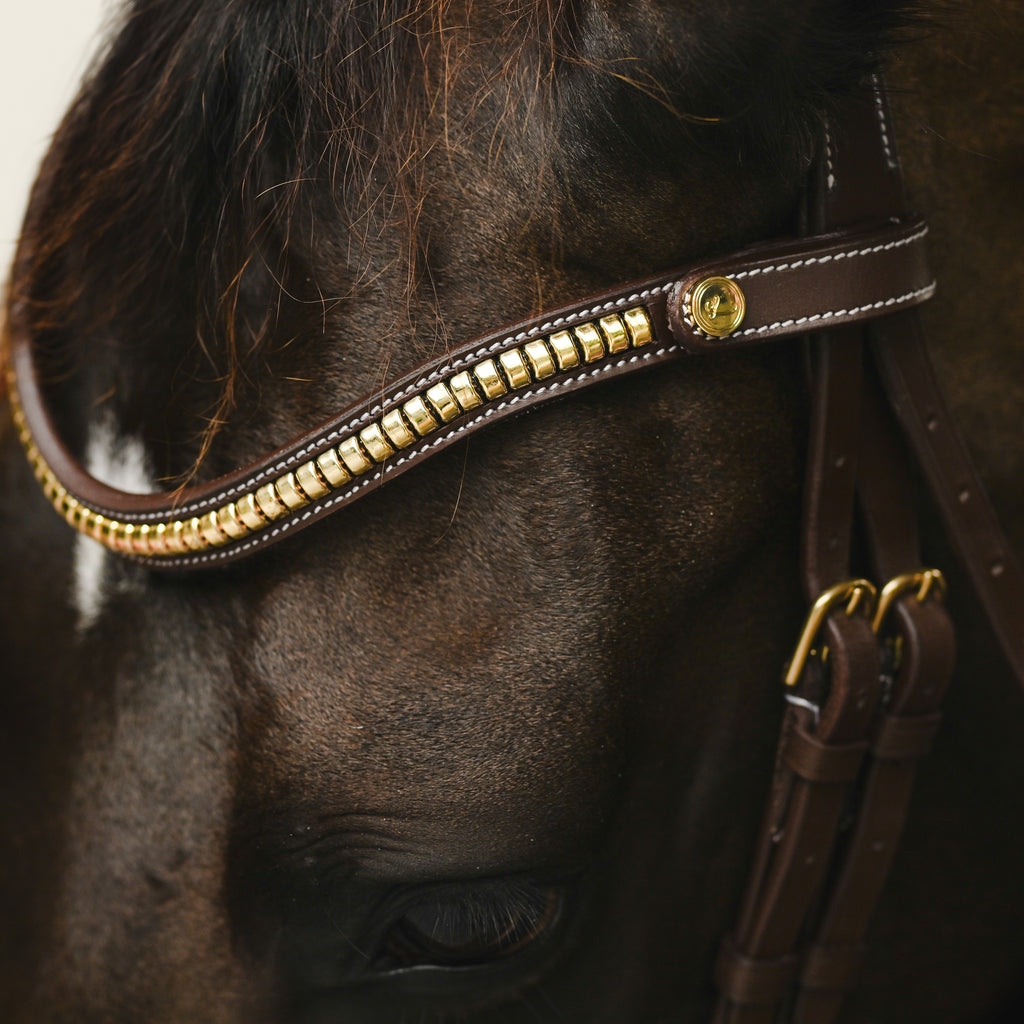 Lumiere Dallas leather jumping bridle browband in brown/gold on a bai horse