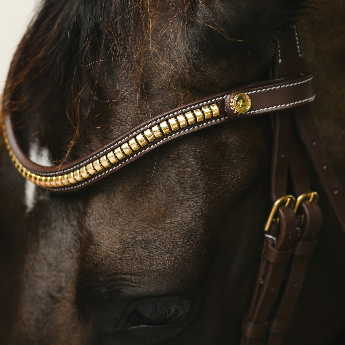 Lumiere Dallas leather jumping bridle browband in brown/gold on a bai horse