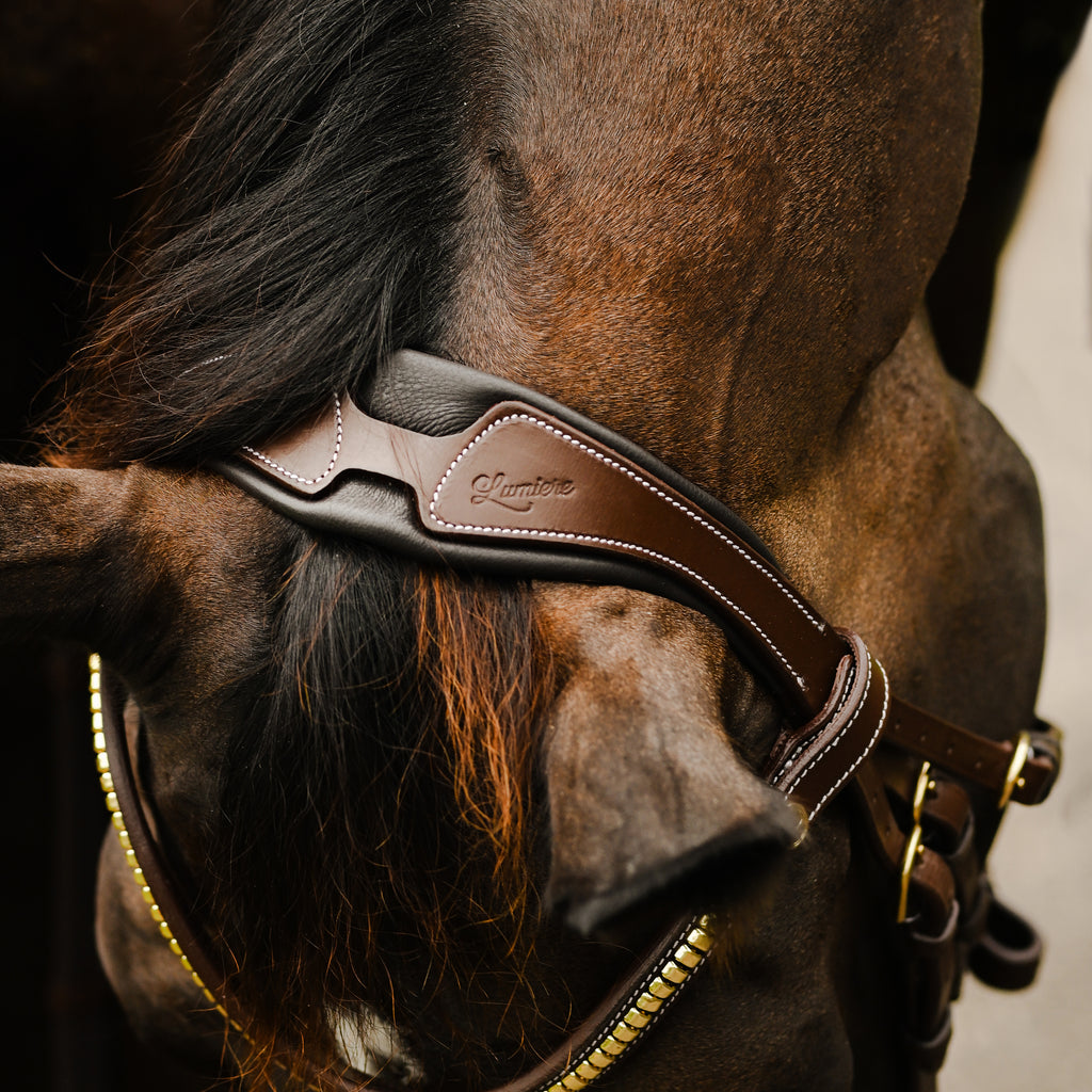 Lumiere Dallas leather jumping bridle headpiece in brown on a bai horse