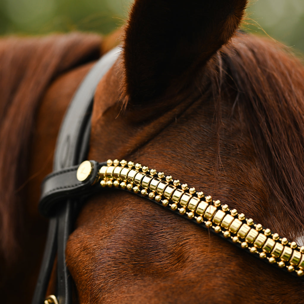 A chestnut horse head wearing the Lumiere Delta bridle with Delta browband handcrafted from premium leather featuring a clincher-style centrepiece encased by gold beading at a 2cm depth.