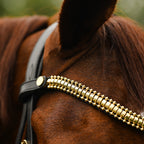 A chestnut horse head wearing the Lumiere Delta bridle with Delta browband handcrafted from premium leather featuring a clincher-style centrepiece encased by gold beading at a 2cm depth.