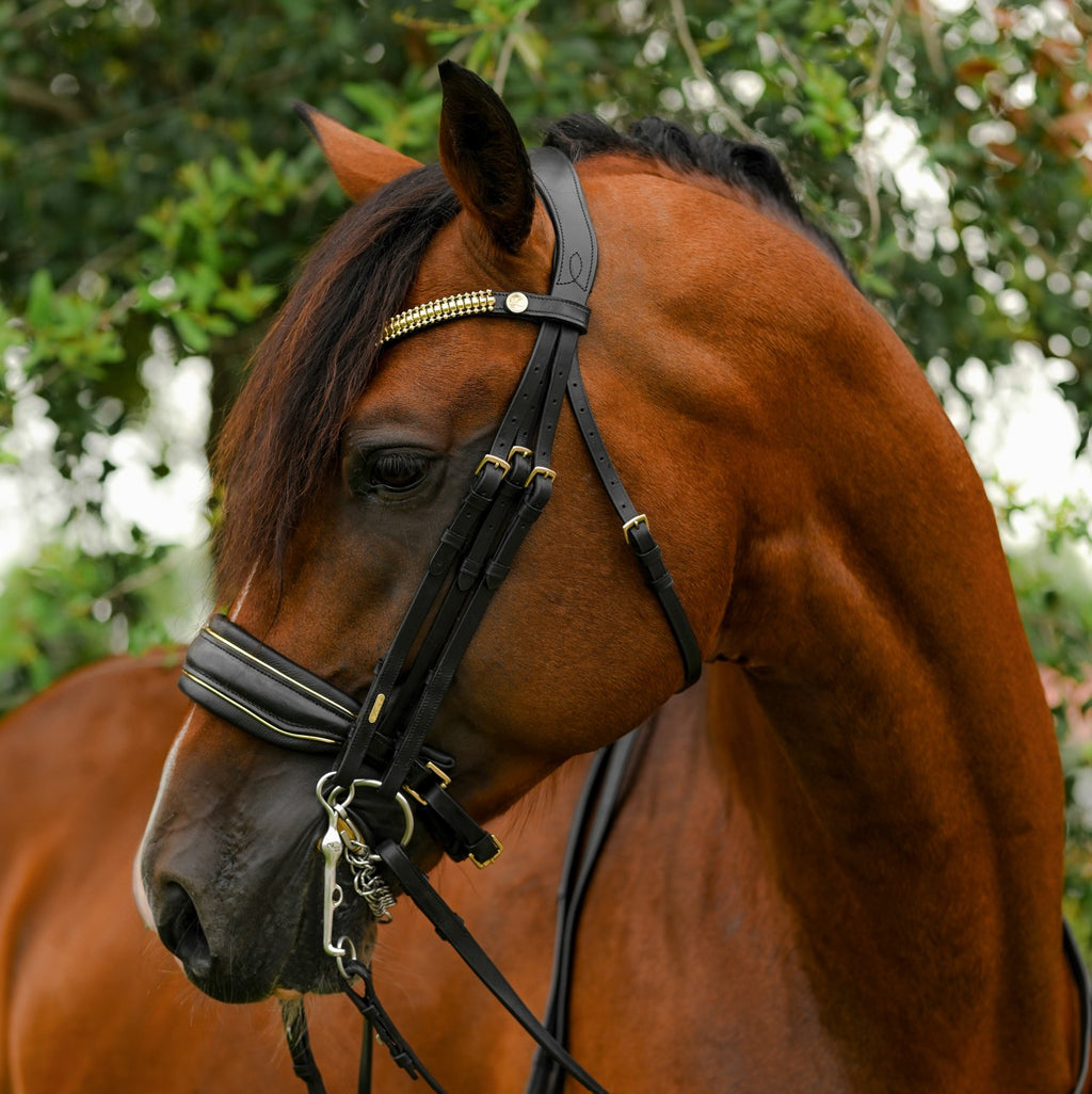 Brown horse wearing the Lumiere Delta double bridle crafted from premium leather with gold browband features a clincher-style centrepiece encased by gold beading, the noseband is gel-padded and finished with gold piping 
The gel-padded anatomic poll-relief headpiece - a blurred green and white background