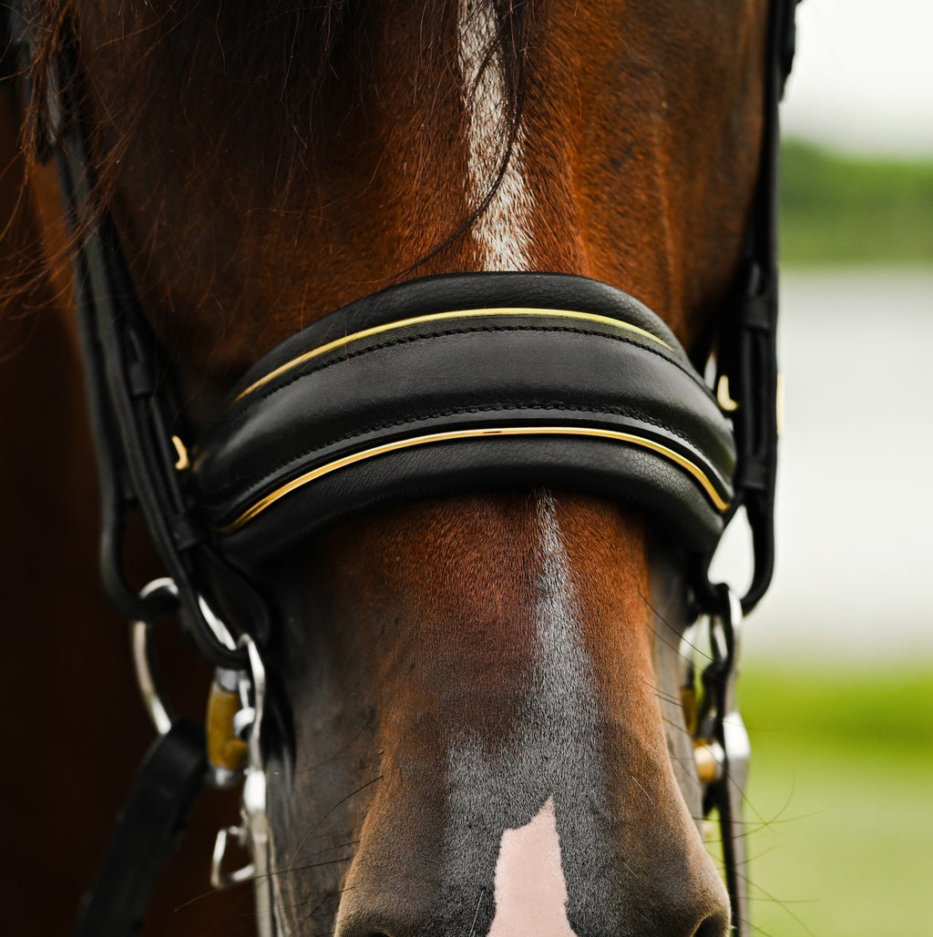 Closeup of a Brown horse wearing the Lumiere Delta double bridle crafted from premium leather with the gel-padded noseband and finished with gold piping 
 - a blurred green and white background