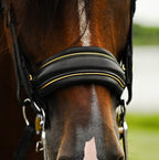 Closeup of a Brown horse wearing the Lumiere Delta double bridle crafted from premium leather with the gel-padded noseband and finished with gold piping 
 - a blurred green and white background