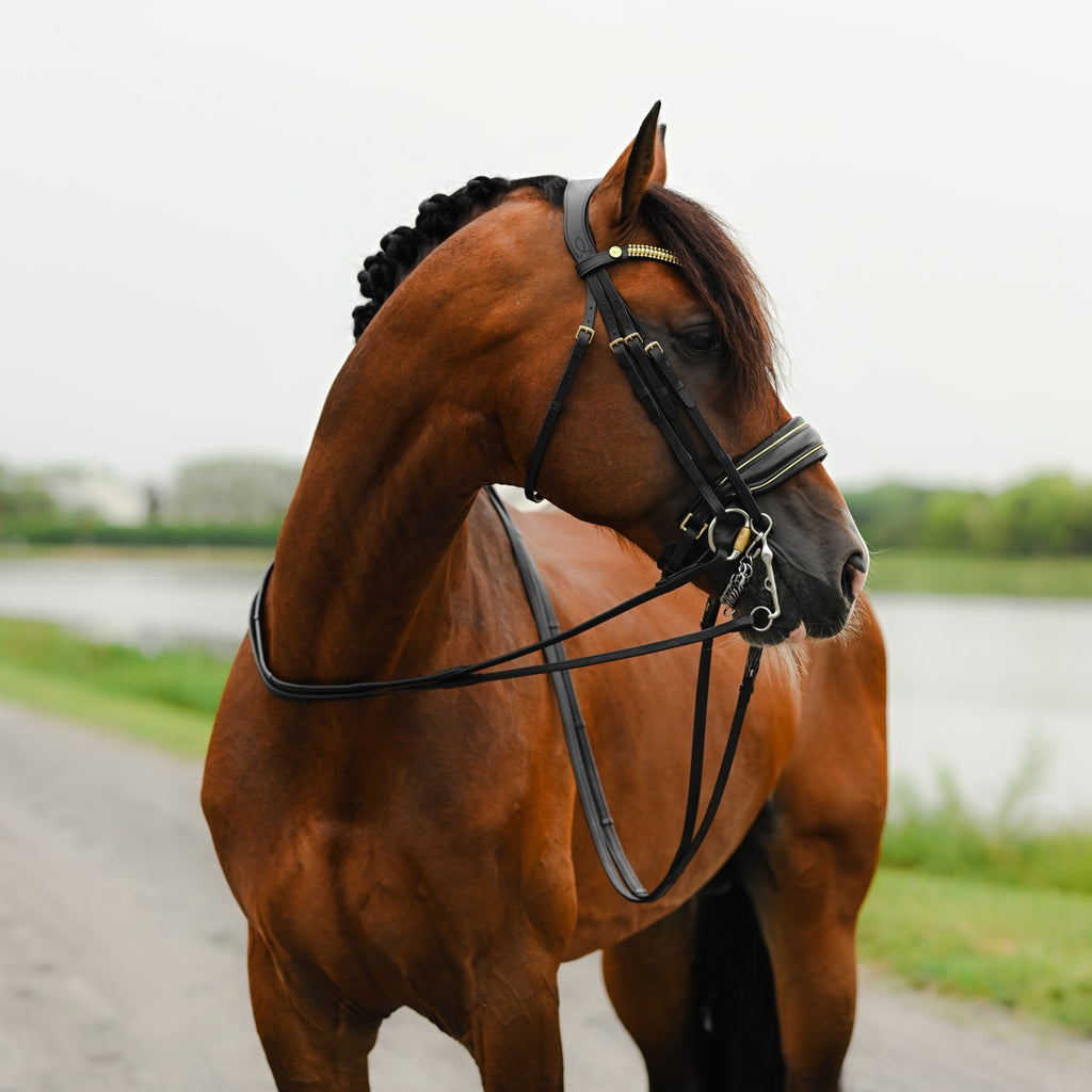Brown horse wearing the Lumiere Delta double bridle crafted from premium leather with gold browband features a clincher-style centrepiece encased by gold beading, the noseband is gel-padded and finished with gold piping 
The gel-padded anatomic poll-relief headpiece - a blurred green and white background