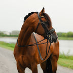Brown horse wearing the Lumiere Delta double bridle crafted from premium leather with gold browband features a clincher-style centrepiece encased by gold beading, the noseband is gel-padded and finished with gold piping 
The gel-padded anatomic poll-relief headpiece - a blurred green and white background