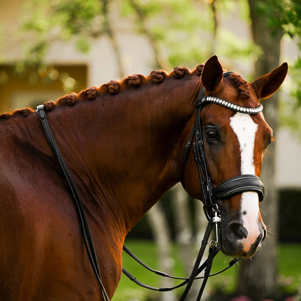 Lumiere Diva leather dressage double bridle on a chestnut horse