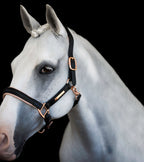Horse wearing the Lumiere Hollywood halter crafted from luxurious gel-padded rose gold nappa leather with premium rose gold fittings against a black background