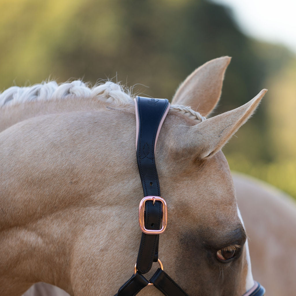 Closeup of a Horse wearing the Lumiere Hollywood halter crafted from luxurious gel-padded rose gold nappa leather with premium rose gold fittings on a blurred background