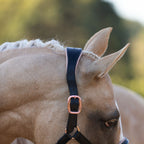 Closeup of a Horse wearing the Lumiere Hollywood halter crafted from luxurious gel-padded rose gold nappa leather with premium rose gold fittings on a blurred background