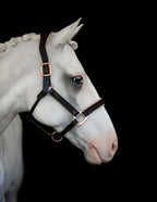 Horse wearing the Lumiere Hollywood halter crafted from luxurious gel-padded rose gold nappa leather with premium rose gold fittings against black background
