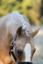 Closeup of a Horse wearing the Lumiere Hollywood halter crafted from luxurious gel-padded rose gold nappa leather with premium rose gold fittings on a blurred background
