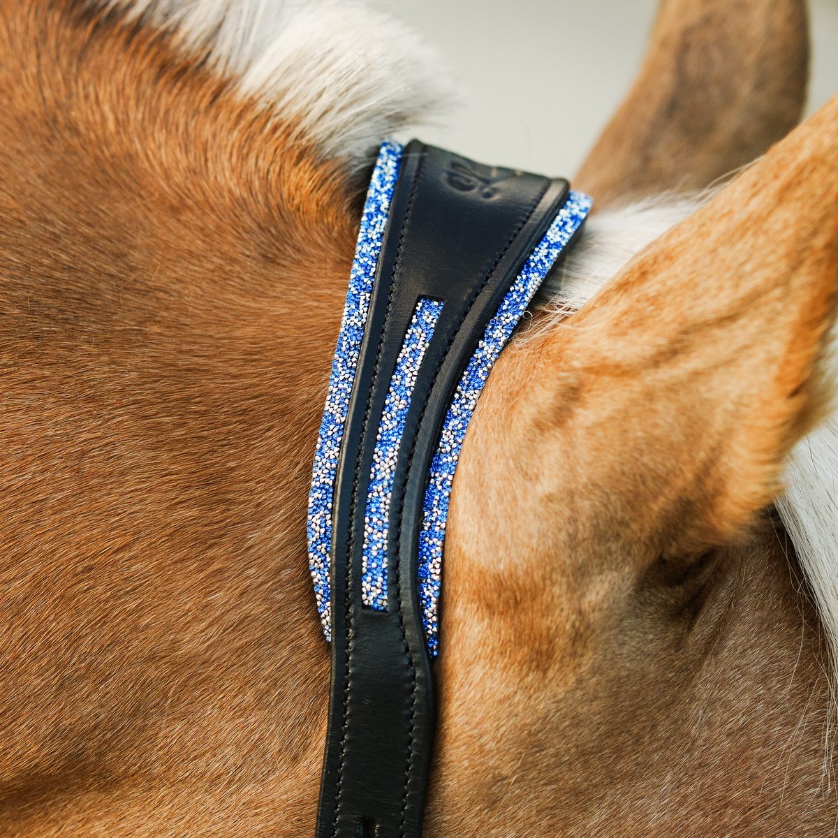 Close-up of a horse's head wearing the Lumiere Paris halter with blue and white glitter trim.
