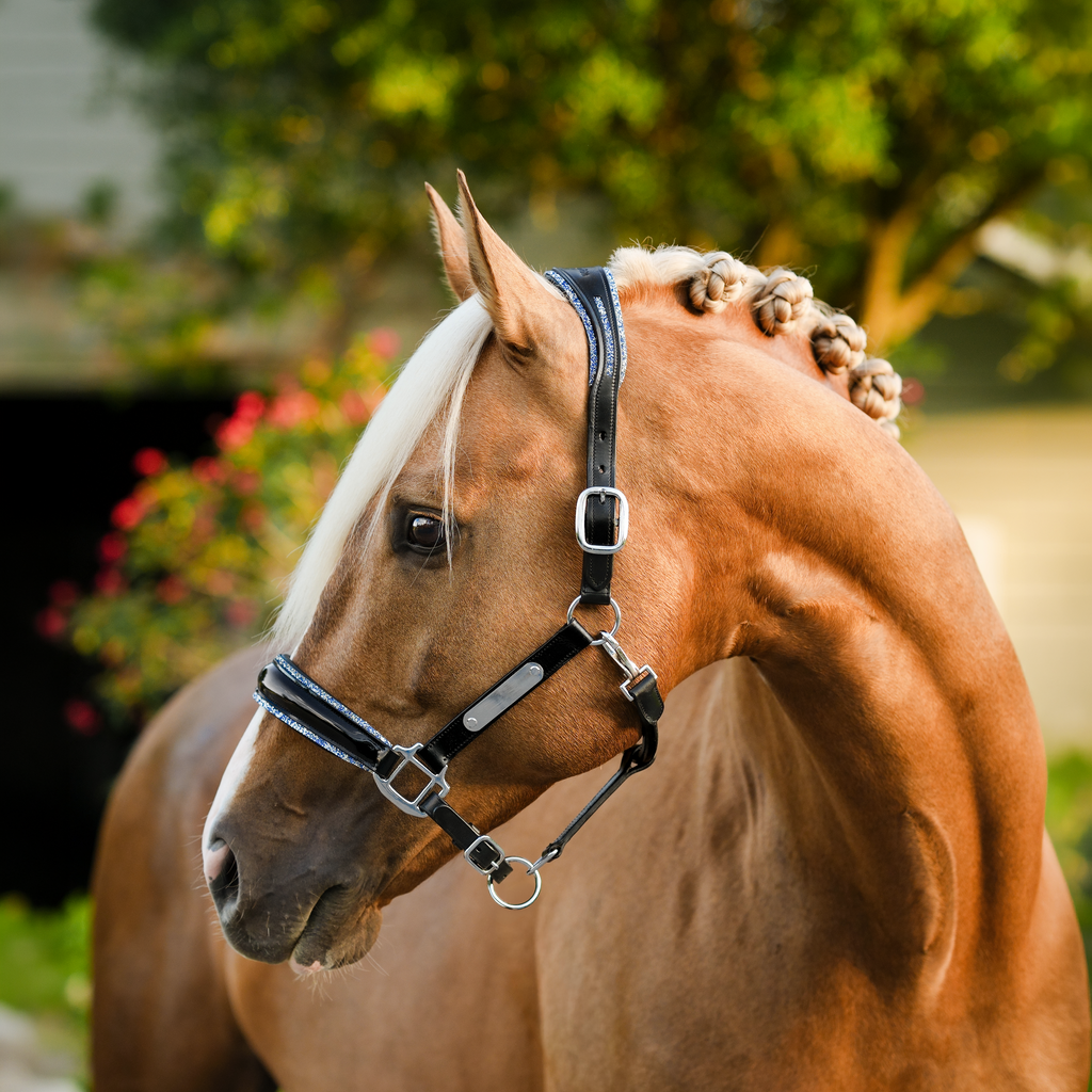 A close-up of a palomino horse outdoors wearing the Lumiere Paris halter with a blurred green tree background