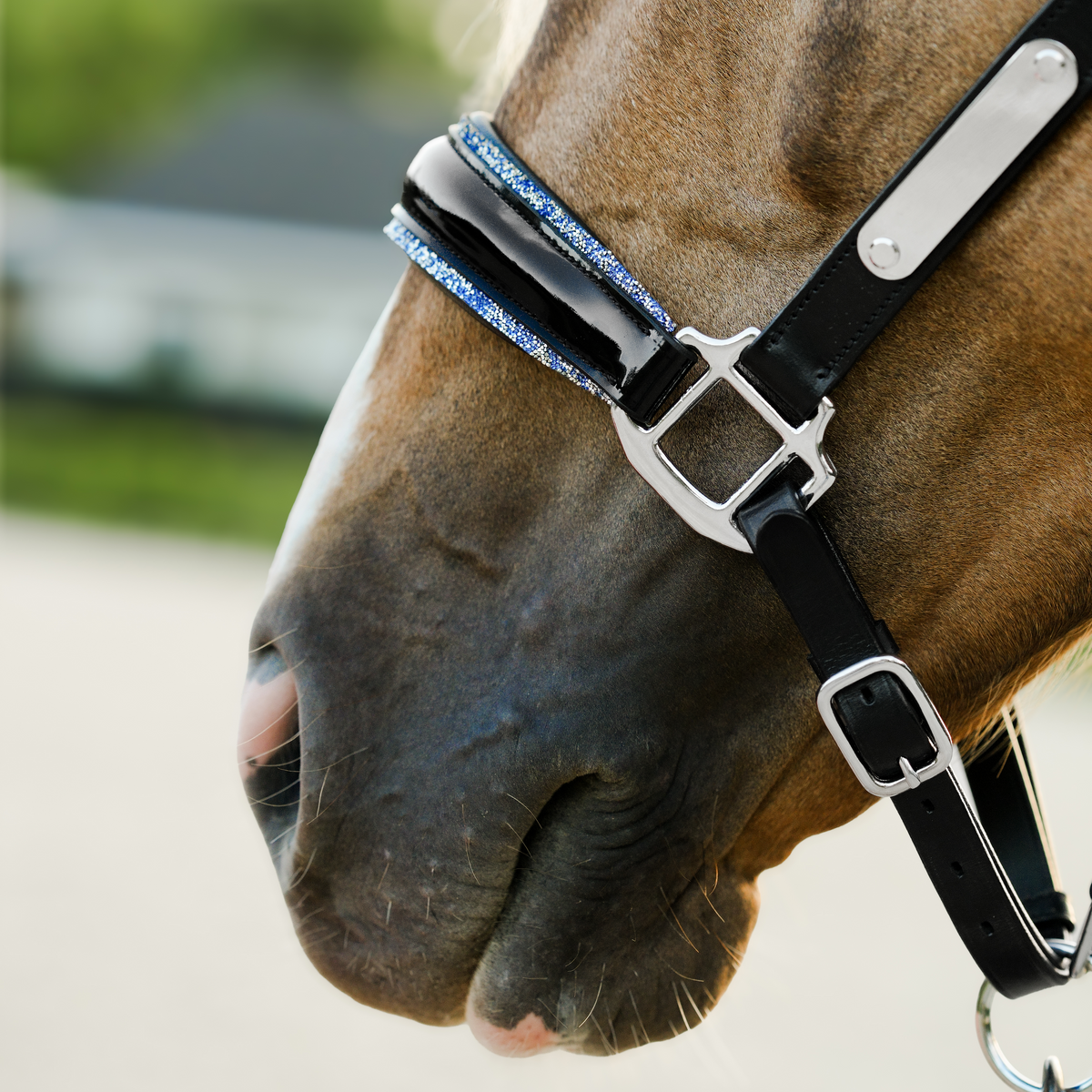 Close-up of a horse wearing the Lumiere Paris Halter, set against a blurred outdoor background.