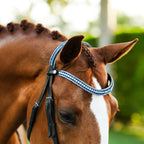 Lumiere Paris black leather bridle – headpiece and browband details on a chestnut horse