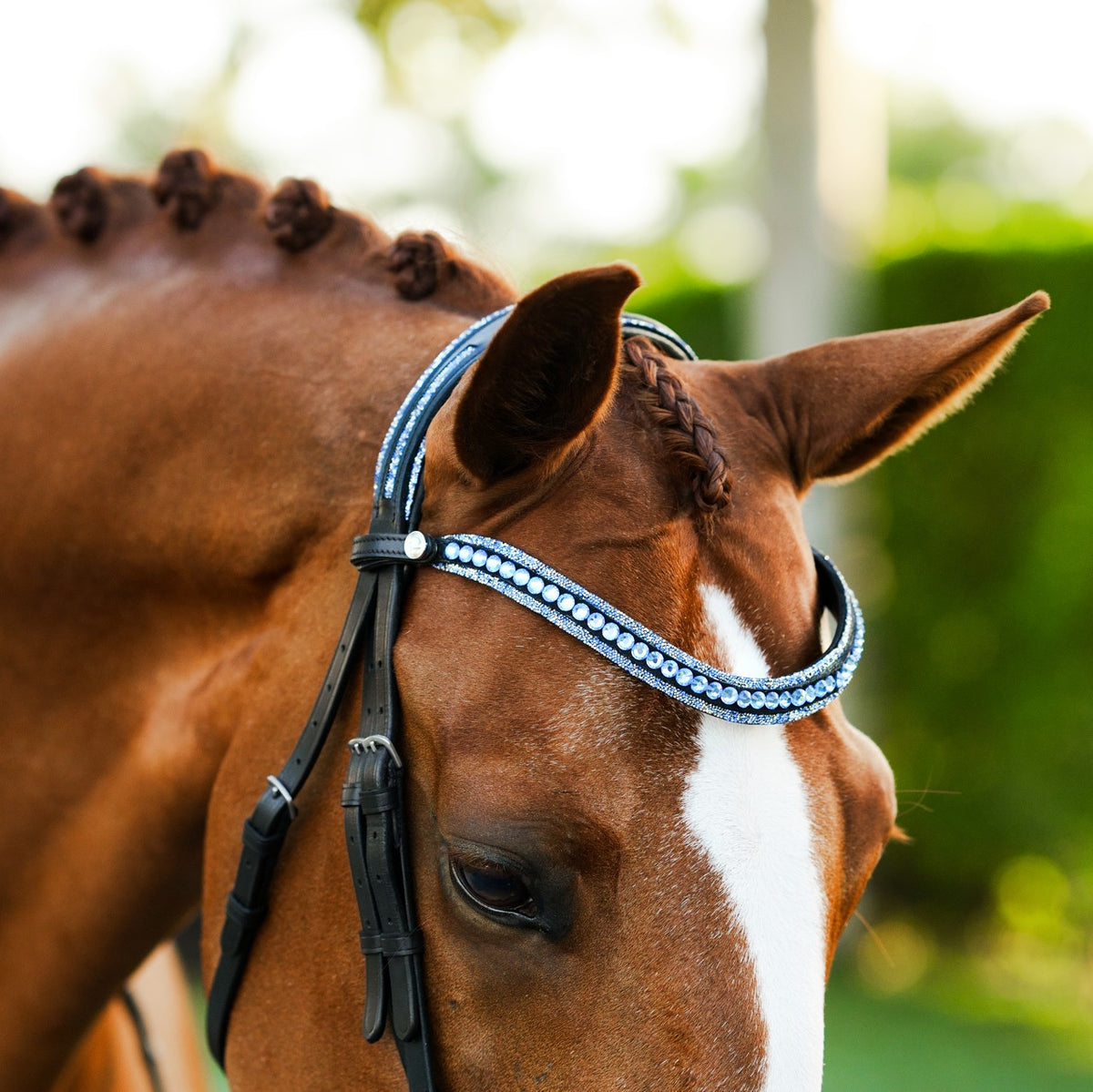 Lumiere Paris black leather bridle – headpiece and browband details on a chestnut horse