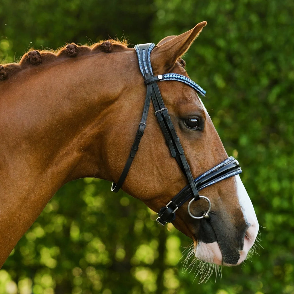 Lumiere Paris black leather bridle -Cavesson – side view on a chestnut horse