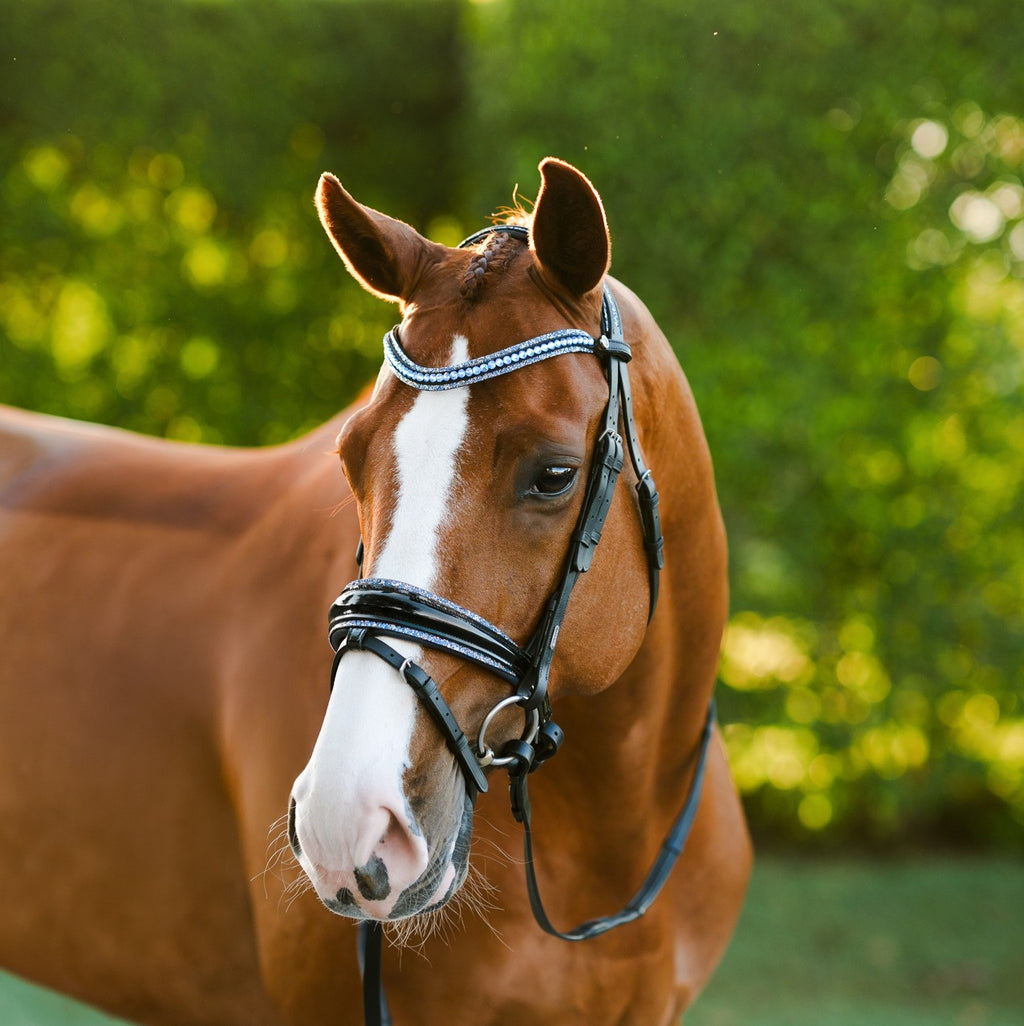 Lumiere Paris black leather bridle -Hanoverian – full front view on a chestnut horse