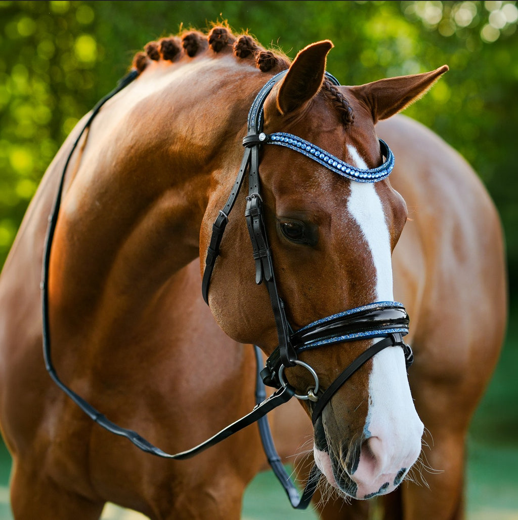 Lumiere Paris black leather bridle -Hanoverian – full front view on a chestnut horse