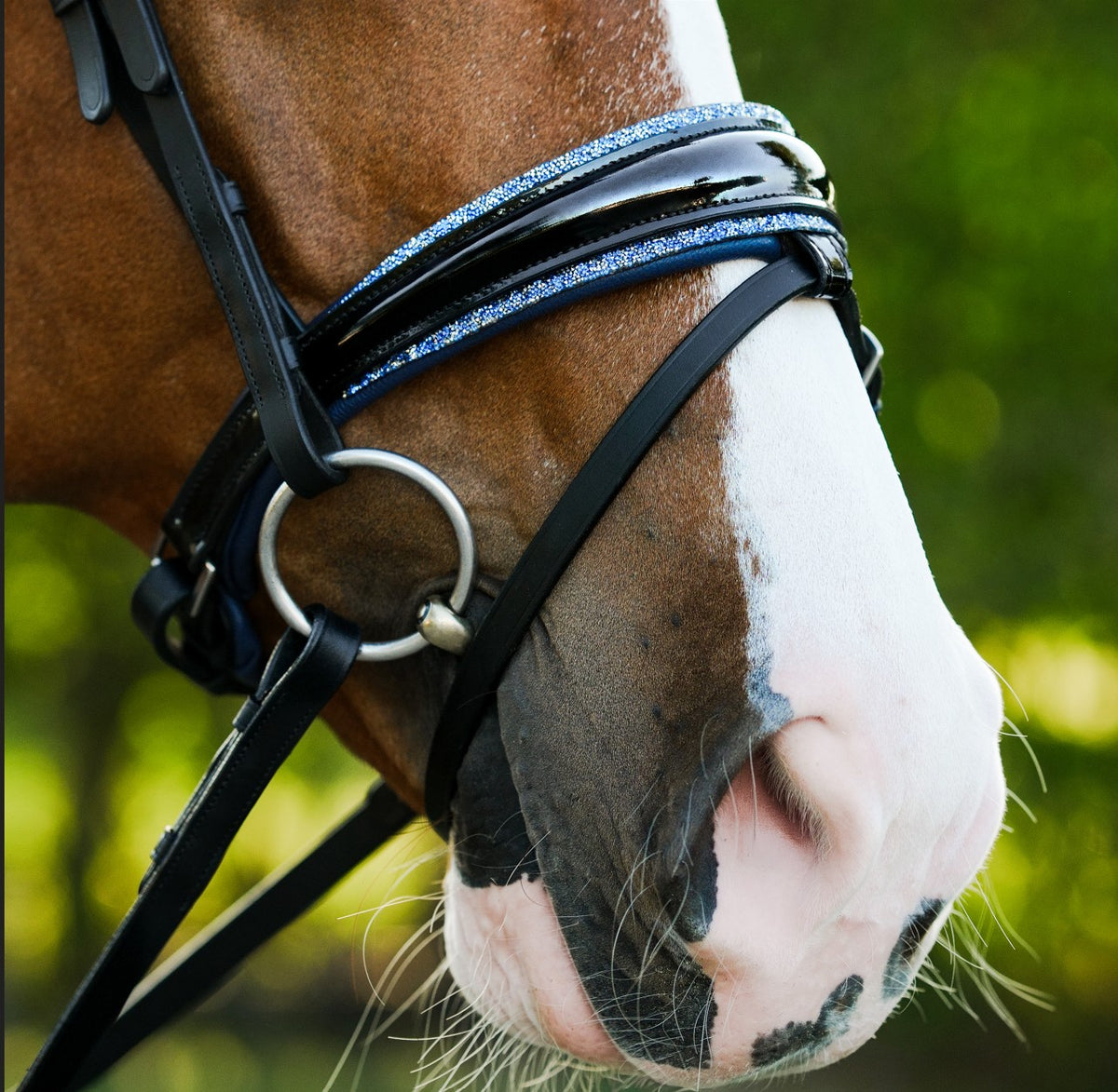 Lumiere Paris black leather bridle -Hanoverian – noseband detail on a chestnut horse