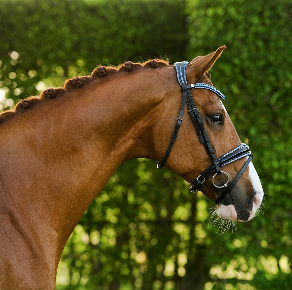 Lumiere Paris black leather bridle -Hanoverian – full side view on a chestnut horse