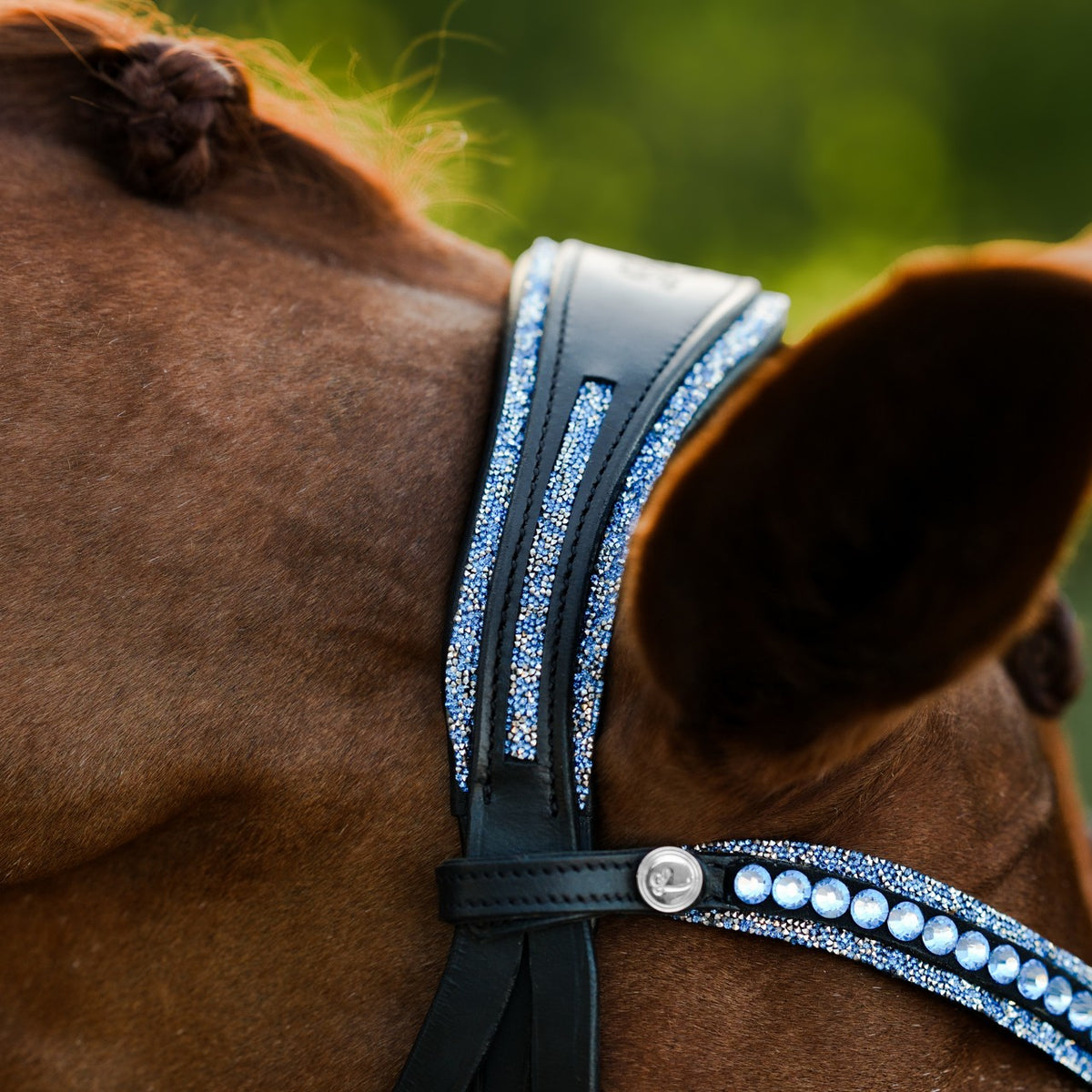 Lumiere Paris black leather bridle – headpiece detail on a chestnut horse