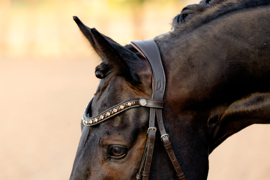 Closeup of horse head with the Lumiere Pippa Hanoverian bridle with a curved crystal browband handcrafted from Austrian stellux crystals in amber and clear tones, matched butter-soft premium leather gel-padded Hanoverian crank noseband and a gel-padded anatomic monocrown headpiece, blurred background.