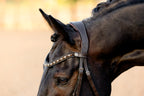 Closeup of horse head with the Lumiere Pippa Hanoverian bridle with a curved crystal browband handcrafted from Austrian stellux crystals in amber and clear tones, matched butter-soft premium leather gel-padded Hanoverian crank noseband and a gel-padded anatomic monocrown headpiece, blurred background.