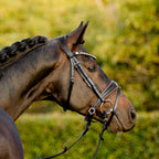 Bai horse wearing the Lumiere Pippa Hanoverian bridle with a curved crystal browband handcrafted from Austrian stellux crystals in amber and clear tones, matched butter-soft premium leather gel-padded Hanoverian crank noseband and a gel-padded anatomic monocrown headpiece, green blurred background.