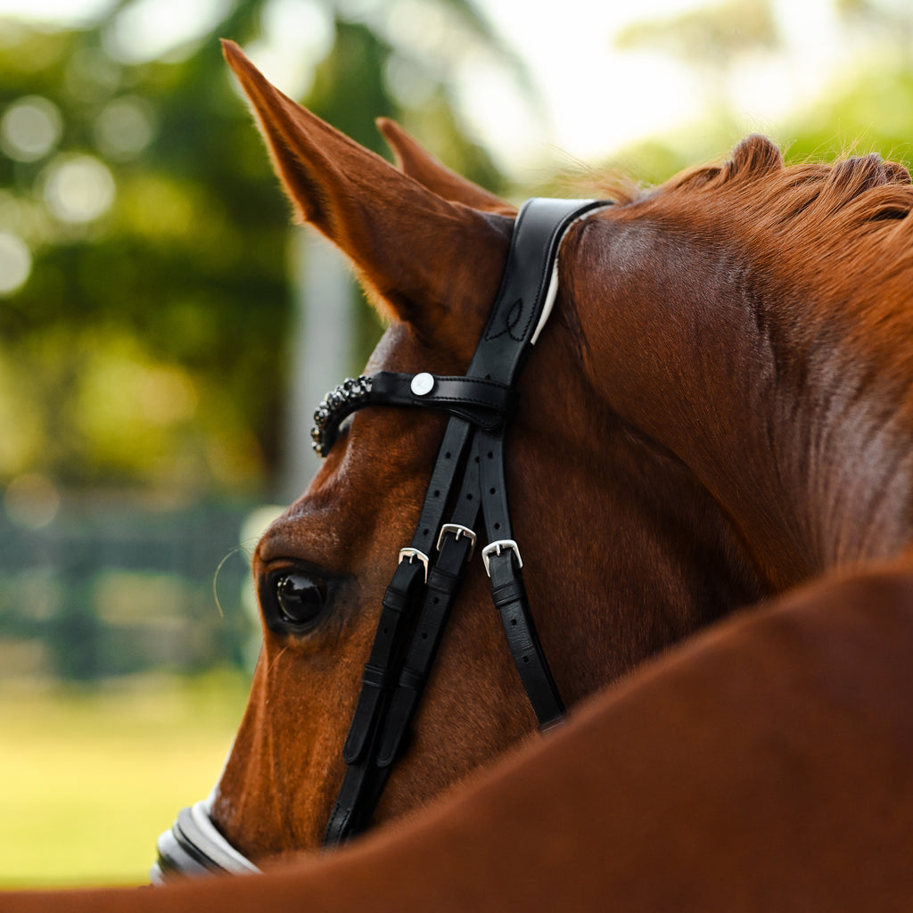 Profile-back view of a chestnut horse wearing the Lumiere Sibella bridle crafted from luxury leather featuring a browband with black Austrian stellux crystals with gel-padded anatomic monocrown headpiece matte black finishing, blurred green background.