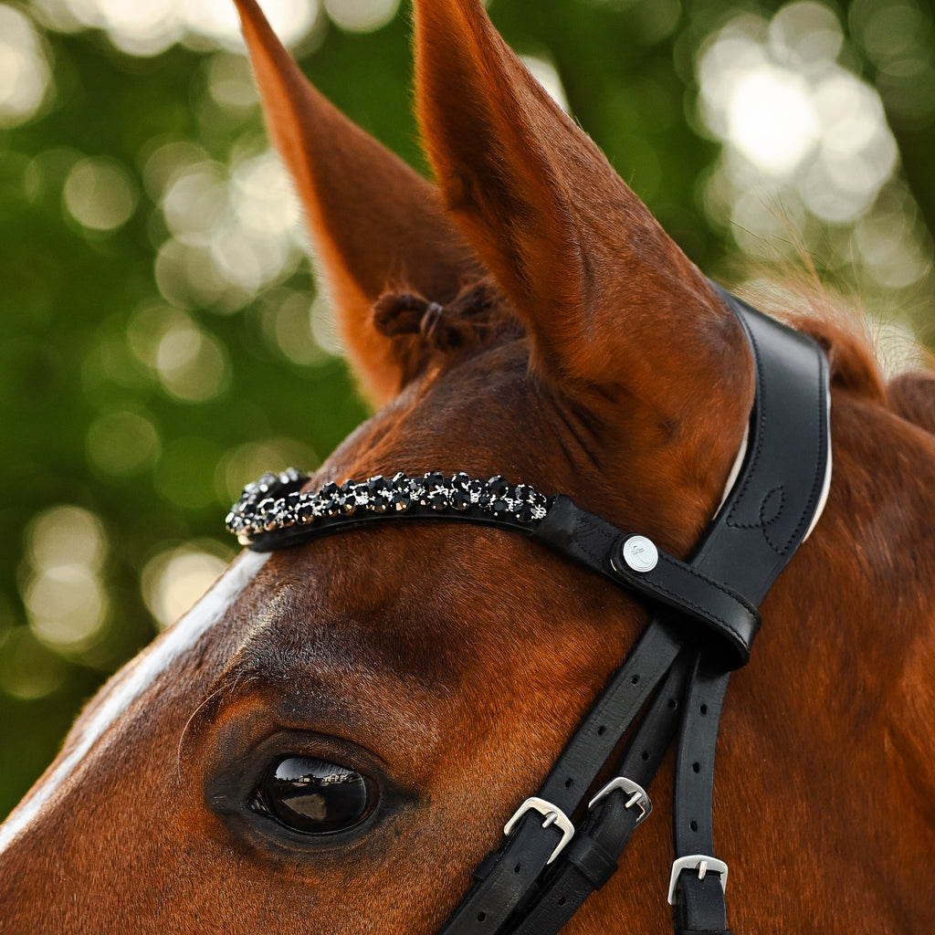 Closeup of a chestnut horse wearing the Lumiere Sibella bridle crafted from luxury leather featuring a browband with black Austrian stellux crystals with gel-padded anatomic monocrown headpiece matte black finishing, blurred background.
