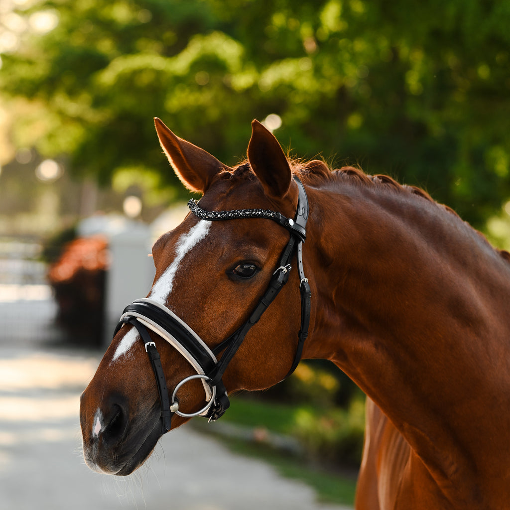 Chestnut horse wearing the Lumiere Sibella bridle crafted from luxury leather featuring a browband with black Austrian stellux crystals with gel-padded anatomic monocrown headpiece and gel-padded Hanoverian noseband — golden mesh over cream nappa leather, matte black finishin, green garden background.
