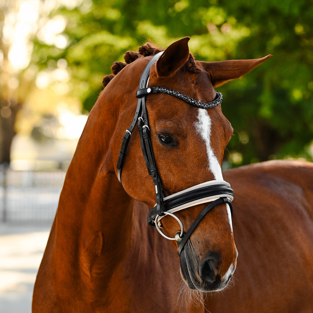 Chestnut horse wearing the Lumiere Sibella bridle crafted from luxury leather featuring a browband with black Austrian stellux crystals with gel-padded anatomic monocrown headpiece and gel-padded Hanoverian noseband — golden mesh over cream nappa leather, matte black finishin, green garden background.