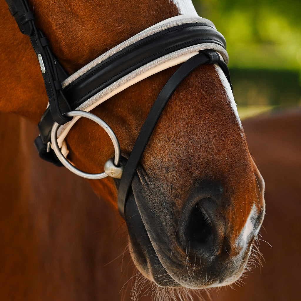 Closeup Chestnut horse wearing the Lumiere Sibella bridle crafted from luxury leather featuring the gel-padded Hanoverian noseband — golden mesh over cream nappa leather, matte black finishin, blurred background.