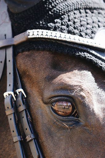 Top view of the Lumiere Solitaire multi-dimensional crystal browband — a striking centre row of solitaire-cut Austrian stellux crystals, elegantly framed by two rows of more delicate crystals for a look that catches the light from every angle.