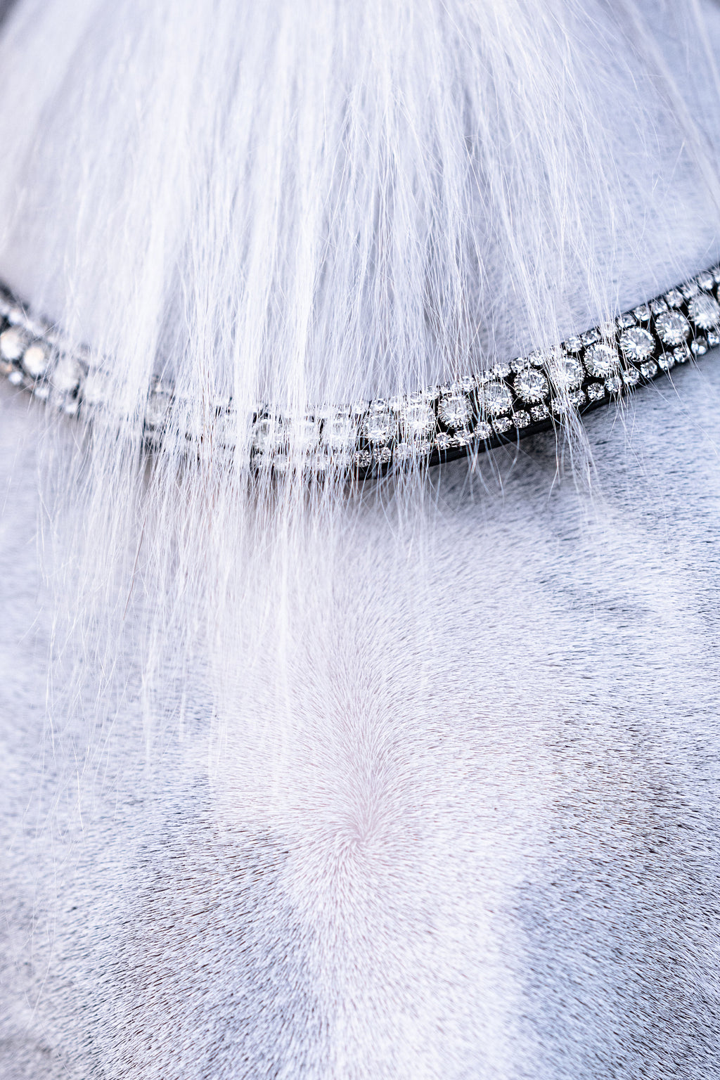 Closeup of the Lumiere Solitaire multi-dimensional crystal browband — a striking centre row of solitaire-cut Austrian stellux crystals, elegantly framed by two rows of more delicate crystals for a look that catches the light from every angle.