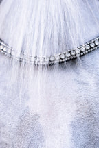 Closeup of the Lumiere Solitaire multi-dimensional crystal browband — a striking centre row of solitaire-cut Austrian stellux crystals, elegantly framed by two rows of more delicate crystals for a look that catches the light from every angle.