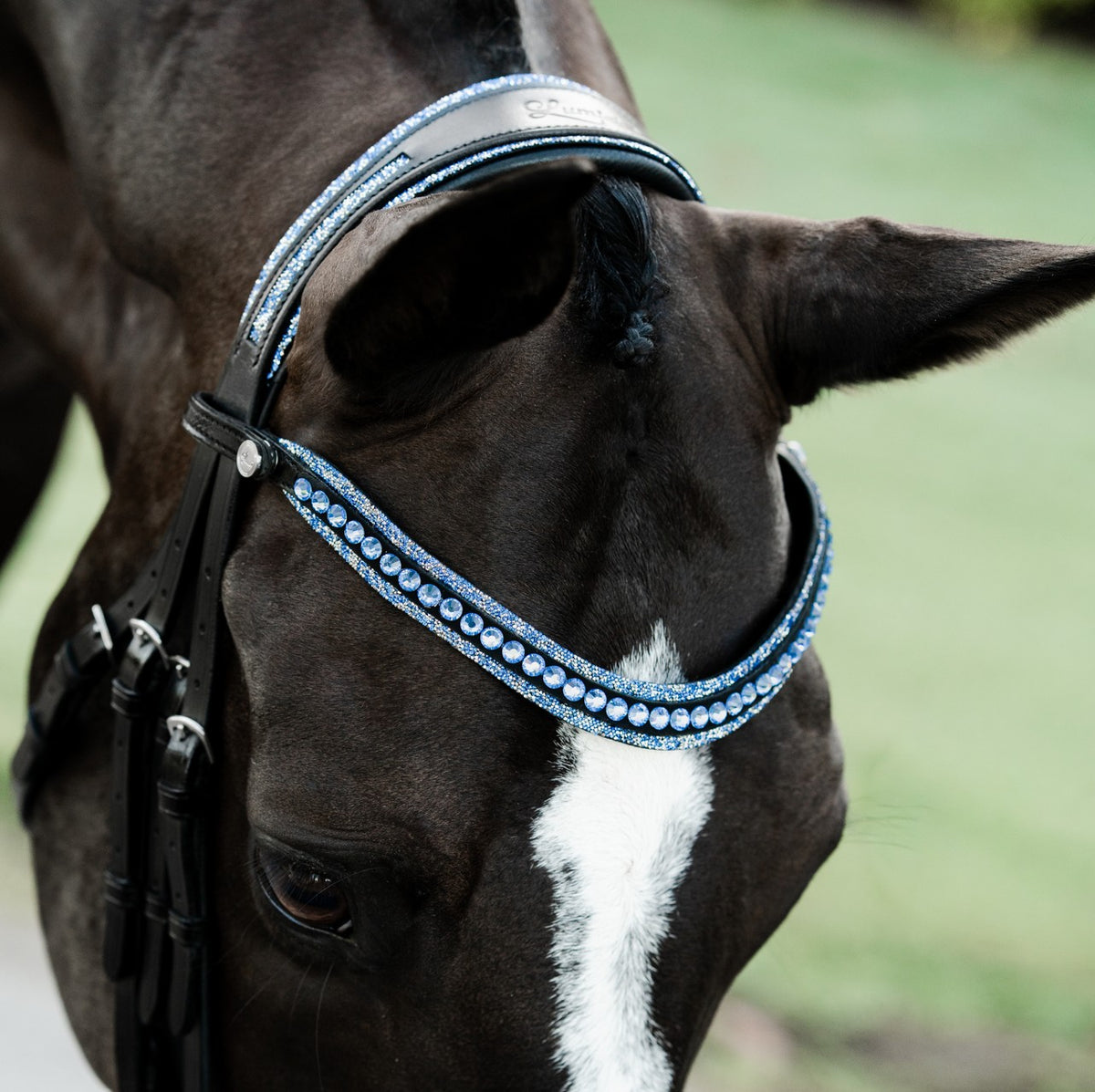 Lumiere Paris black leather double bridle – top view, blue crystal browband and head piece with blue crystal rock pipping