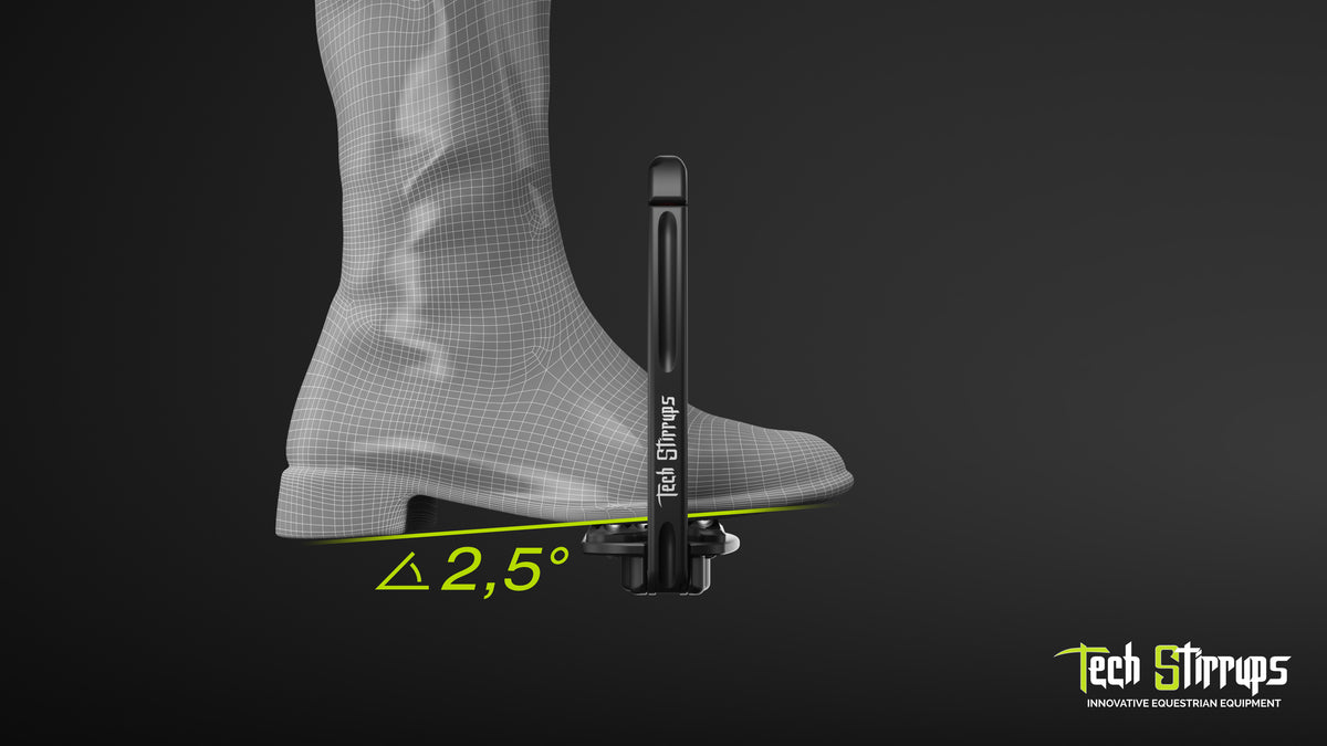 Capri Dressage