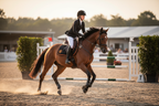Childeric Jumping Saddle Pad - Action in a jumping competition outdoor arena