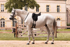 A grey horse standing in an outdoor stable paddock wearing a Childeric DPL dressage black saddle, with a beige building and trees in the background.