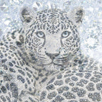 Untamed Leopard & Swarovski® – Limited Edition